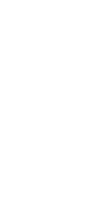 Motif décoratif d'arrière-plan